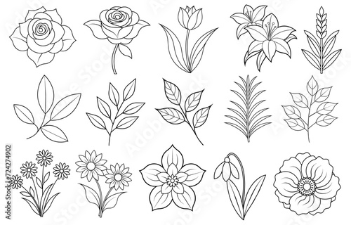 Collection of flower and leaf elements for design for invitation, greeting card, quote, blog, poster.