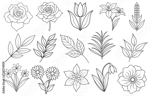 Fototapeta Naklejka Na Ścianę i Meble -  Collection of flower and leaf elements for design for invitation, greeting card, quote, blog, poster.