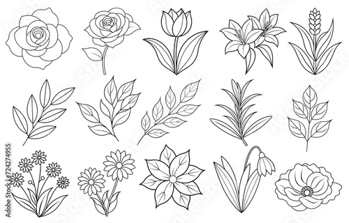 Fototapeta Naklejka Na Ścianę i Meble -  Collection of flower and leaf elements for design for invitation, greeting card, quote, blog, poster.