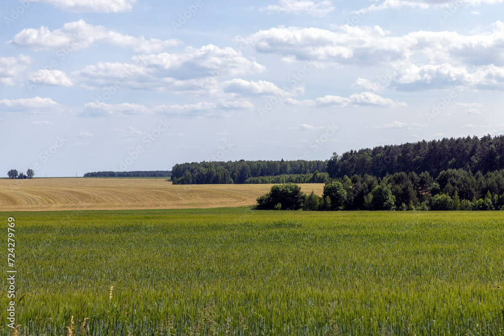 cereal growing business in eastern europe cereal growing business in eastern europe