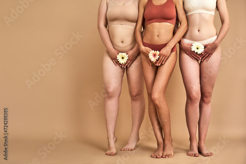 фотографія Gynecology concept