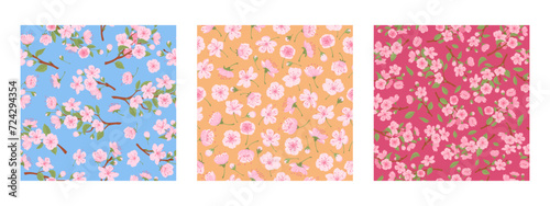 Asian cherry blossom patterns. Blooming sakura seamless patterns, spring cherry lowers endless design flat vector background illustration set. Sakura flowers pattern collection