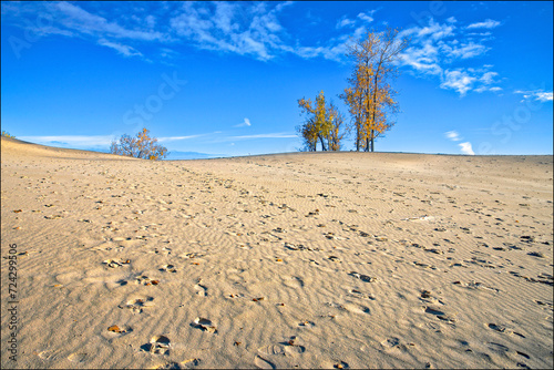 Beautiful landscape of sand dunes with the autumn leaf colour