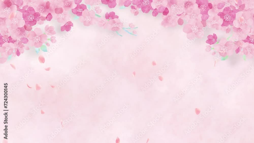 Watercolor cherry blossoms. Abstract pink background.loop video.(088)
