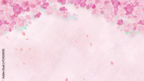 Watercolor cherry blossoms. Abstract pink background.loop video.(088)