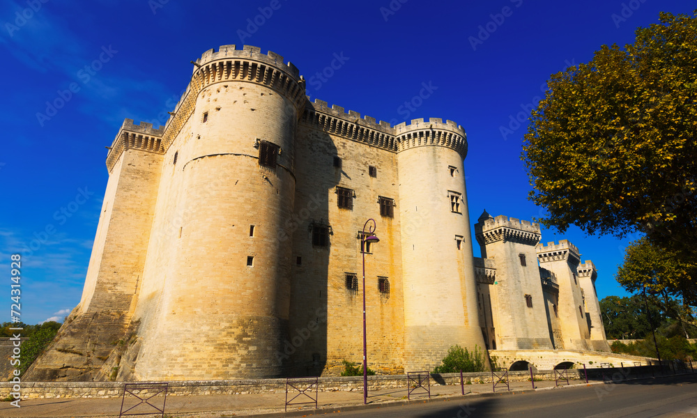 View of medieval castle of Tarascon on Rhone river, France