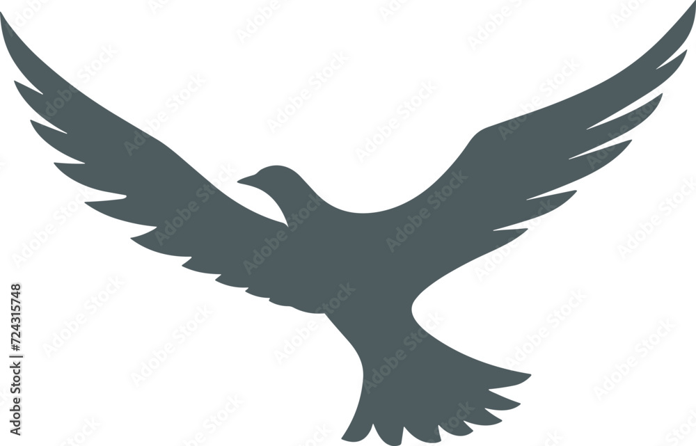 Obraz premium 갈매기