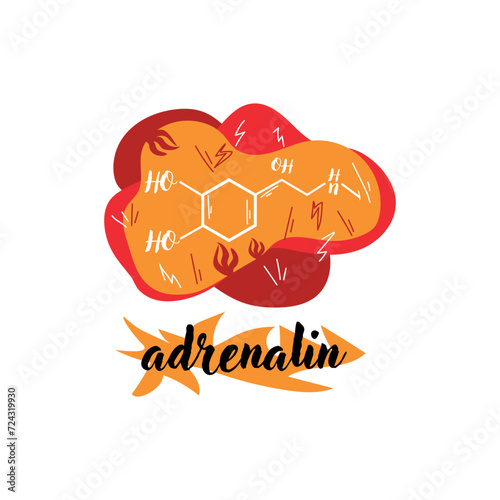 Structural chemical formula of adrenaline hormone on white background