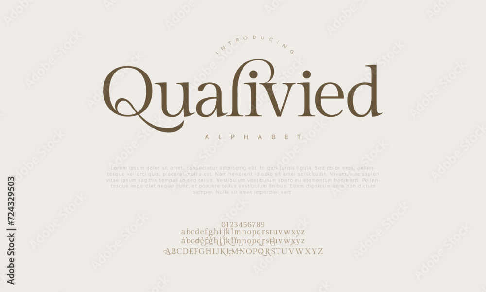 Qualivied premium luxury elegant alphabet letters and numbers. Elegant wedding typography classic serif font decorative vintage retro. Creative vector illustration