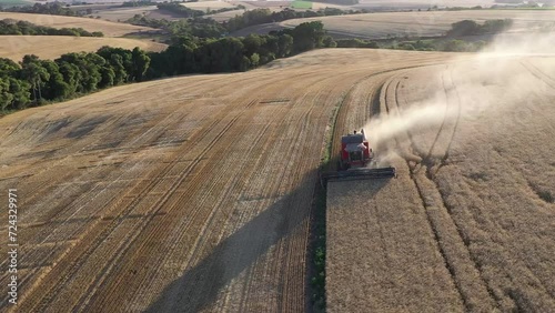 havest in the field