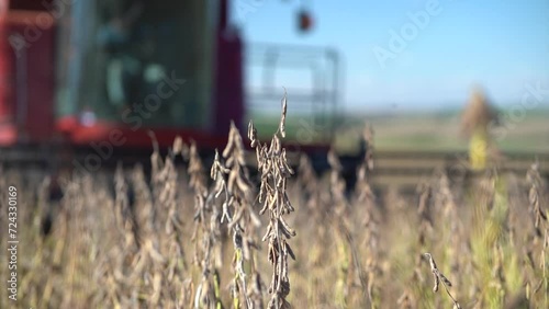 harvesting at fields
