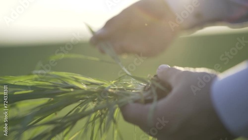 A man observing his plantation.