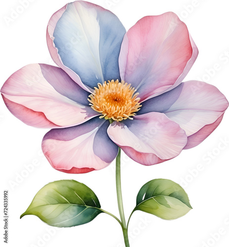 Watercolor painting of a cute pastel flower.