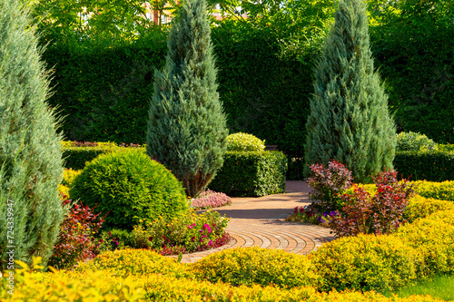 A summer garden with curly trimmed bushes. Garden design. Exterior design. Landscape design.