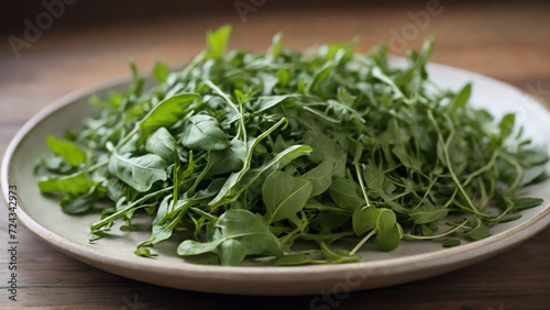 Vibrant Arugula A Fresh and Brightened Perspective Captured in Every Leaf