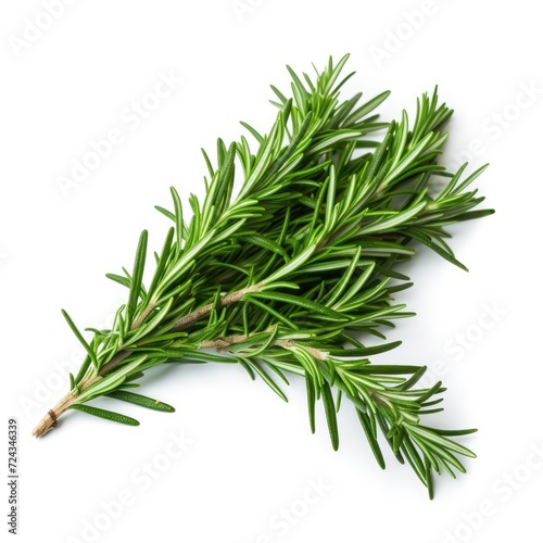 Rosemary branch isolated on white background, close up