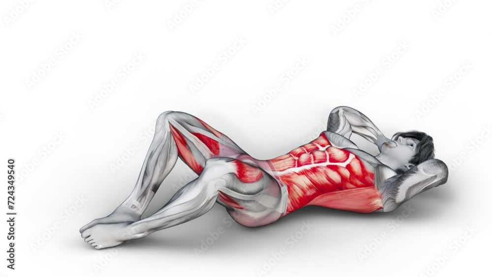 Vidéo Stock Frog Crunch-3D (846)- Anatomy of fitness and bodybuilding ...