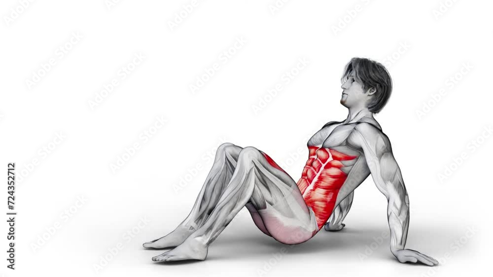 Leg Extension Star Crunch-3D (920)- Anatomy of fitness and bodybuilding ...