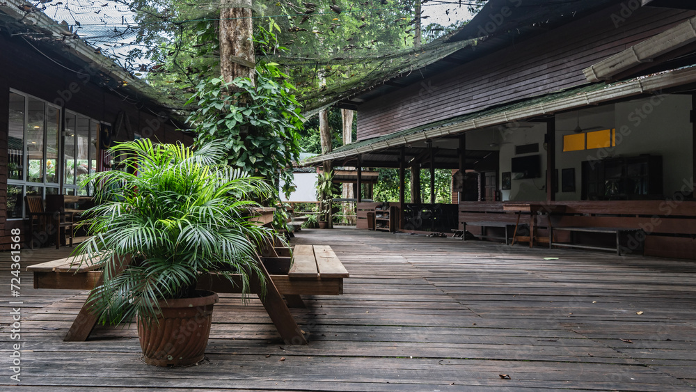 A lodge in the Borneo rain forest. Benches and ornamental plants in pots are installed on the boardwalk.  A safety net is stretched between the buildings. Malaysia.