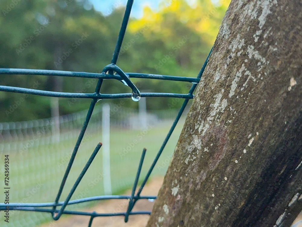 Close-up shot of a wet, green, metal fence in a garden with a wood post Close-up shot of a wet, green, metal fence in a garden with a wood post