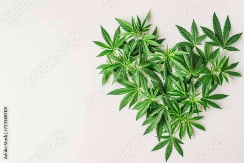 cbd leaves in heart shape on white isolated background