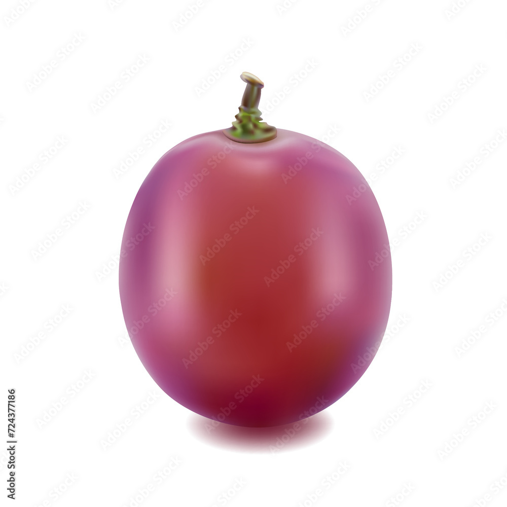 grapes isolated on over white background grapes isolated on over white background