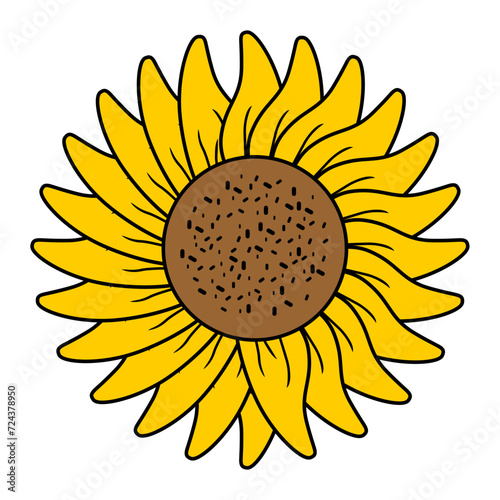 Vector Sunflower floral botanical flower