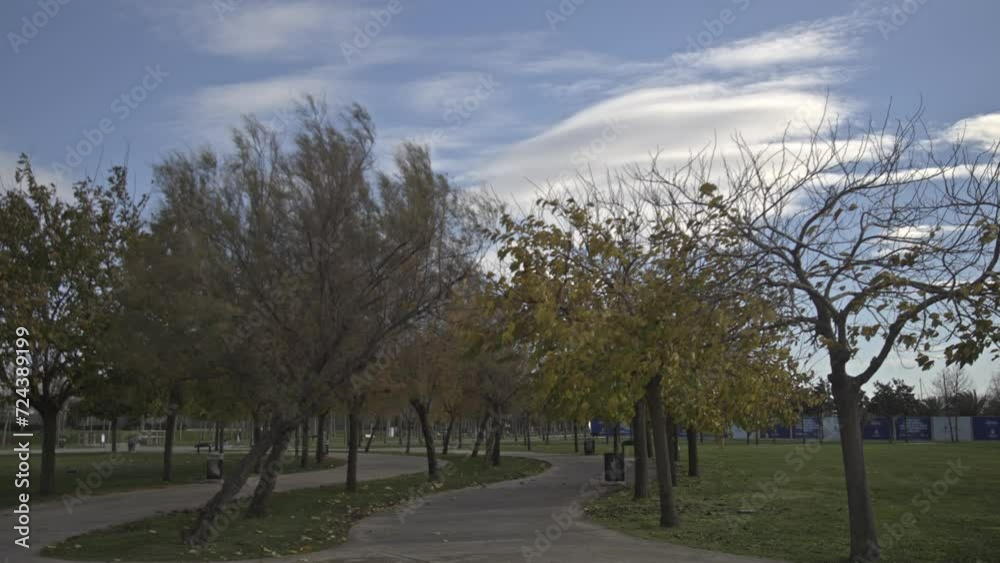 Seaside park full of trees in Maltepe, Istanbul Seaside park full of trees in Maltepe, Istanbul