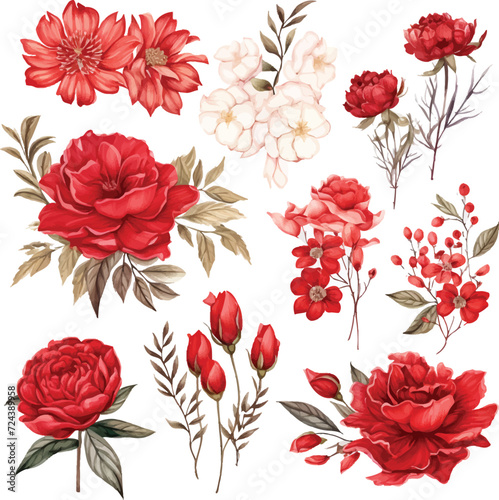 Watercolor flowers set burgundy peonies, pink peonies. Hand-painted abstract botanical illustrations bundle. Isolated on white flowers for wedding stationery, card printing, banners