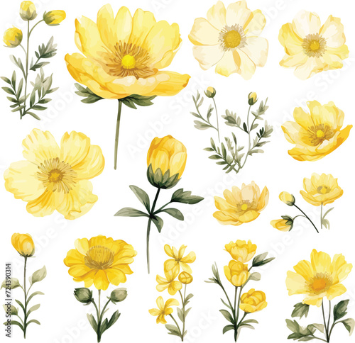 Set of Yellow Watercolor Flower Vector watercolor painted flower. Hand drawn flower design elements isolated on white background.