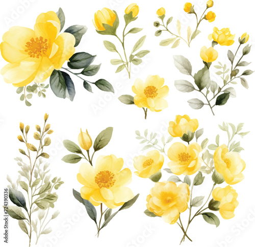 Set of Yellow Watercolor Flower Vector watercolor painted flower. Hand drawn flower design elements isolated on white background.