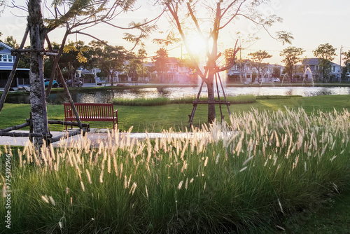 Bright sunset twilight sky and beautiful environment of outdoor garden with lake, fountain, lawn and trees in beautiful landscape of public park.
