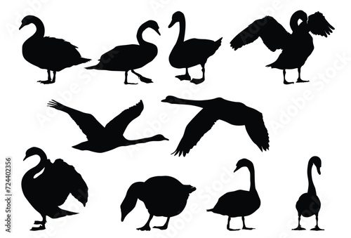 Set of swan silhouette icon logo template vector illustration design