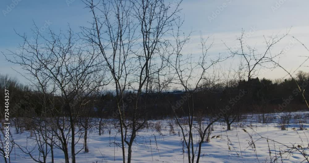 A wide reveal shot starting on some dead trees revealing a bright sunset over snow covered field. A wide reveal shot starting on some dead trees revealing a bright sunset over snow covered field.