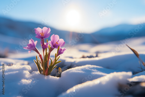 Illustration of fresh flower growth during later winter and early spring concept, Generative AI image.