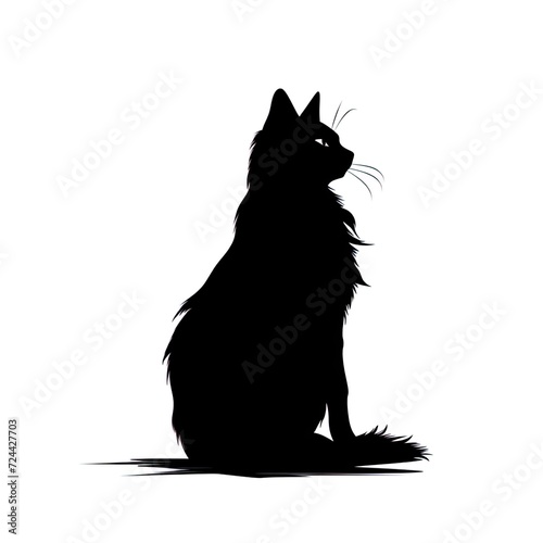 black cat on a white background, isolated background, cat, kitten, studio light, clip-art, close-up scene