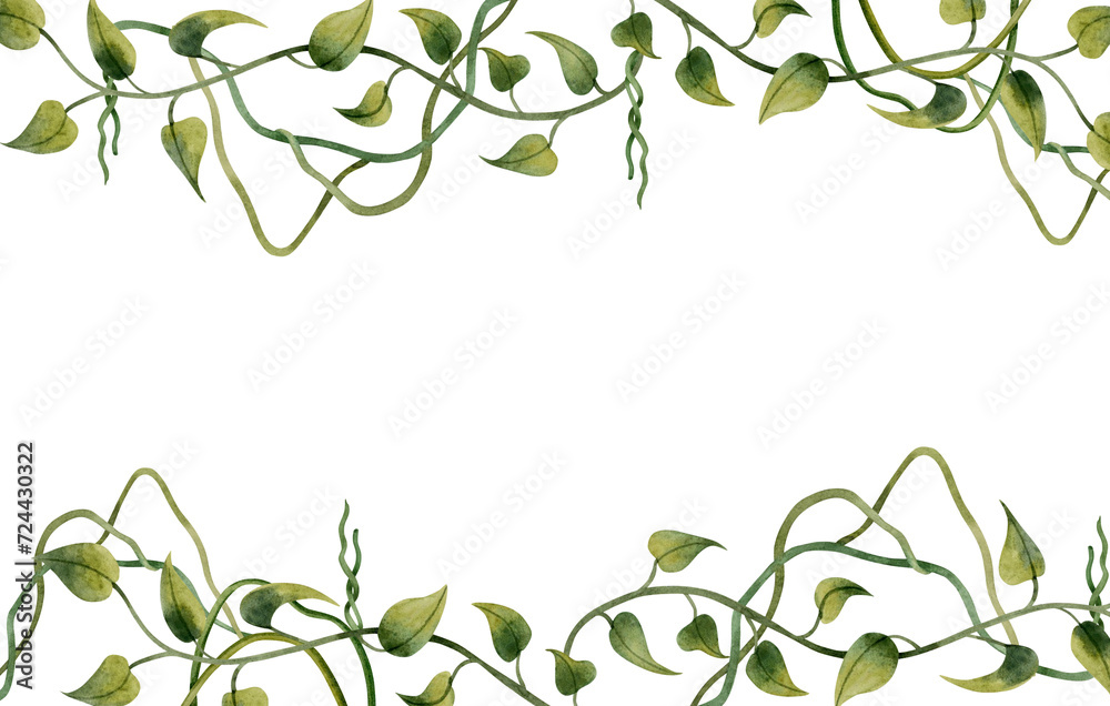 Tropical vine lianas horizontal banner watercolor illustration isolated on white background. Simple frame frame for organic, floral botanical designs and business cards