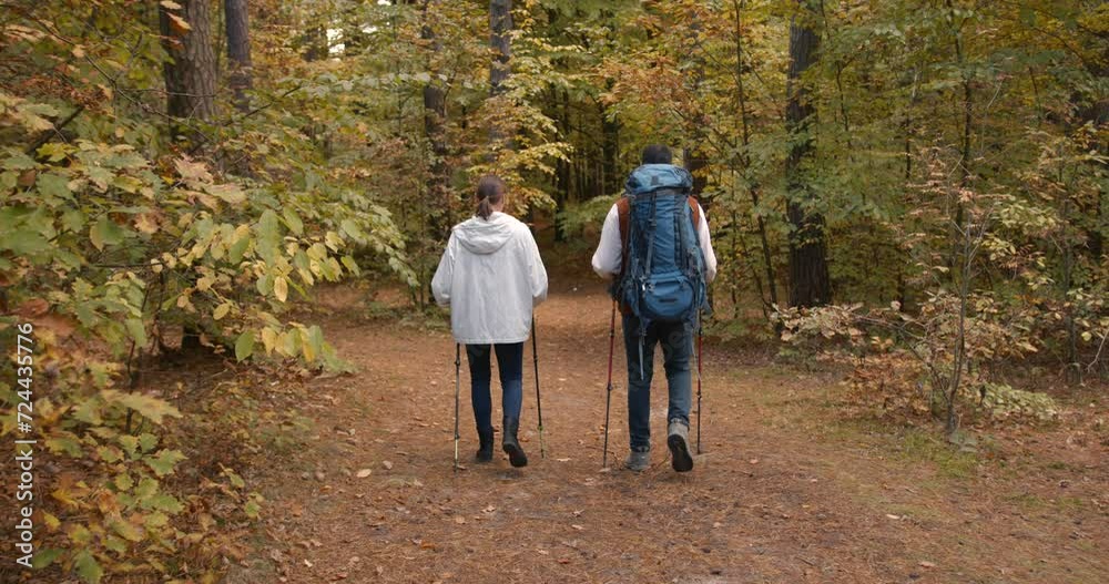 Group of friends hiking together in autumn forest Group of friends hiking together in autumn forest