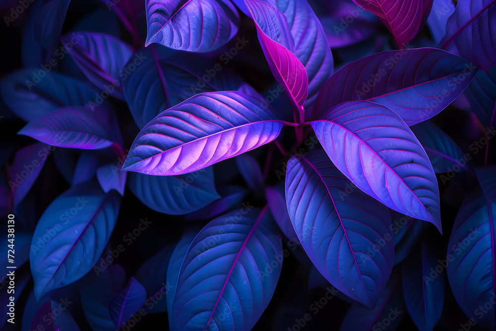 Close up intense blue and violet tropical plant glowing neon