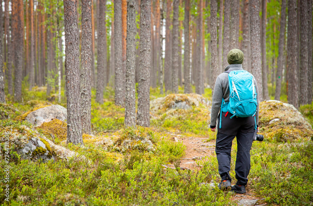 woman with a backpack hiking in forest woman with a backpack hiking in forest