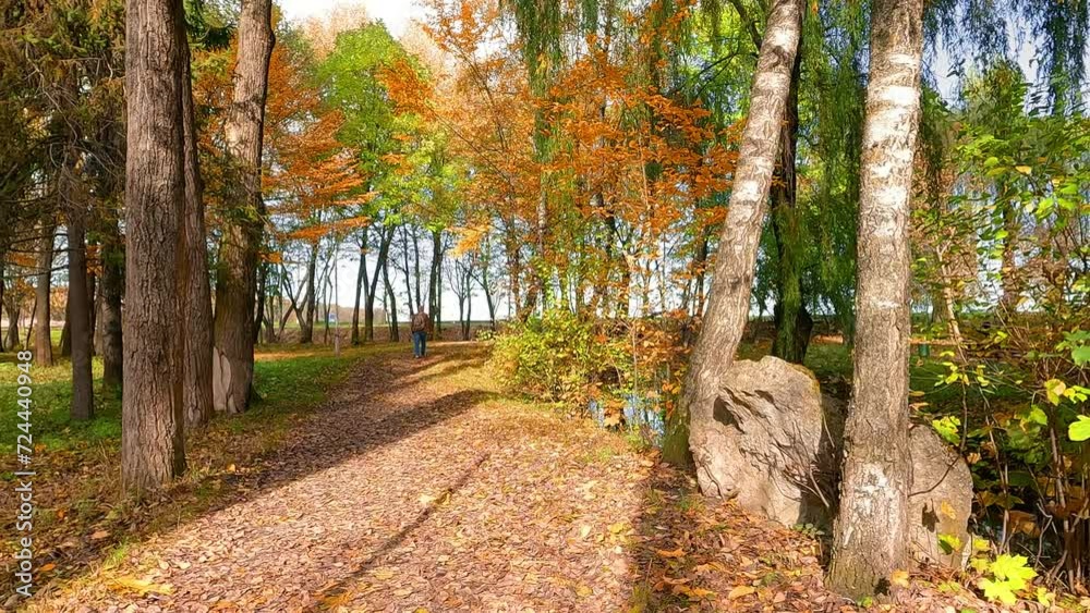 Old man with backpack walks among trees in autumn park. Sunny morning scene of walkbridge in Topilche Park in Ternopil city, Ukraine. 4K video (Ultra High Definition). Old man with backpack walks among trees in autumn park. Sunny morning scene of walkbridge in Topilche Park in Ternopil city, Ukraine. 4K video (Ultra High Definition).