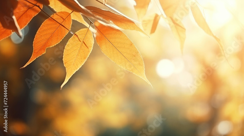 Sunny Autumn Elegance  Leaves with Cinematic Lighting