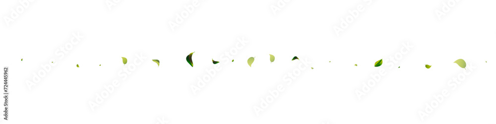 Lime Leaves Wind White Panoramic Vector Lime Leaves Wind White Panoramic Vector