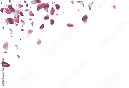 Lilac Solar Flying Vector White Background
