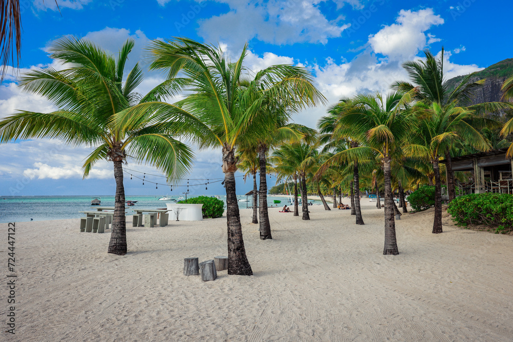 Palm Trees and Chairs on a Sandy Beach in Mauritius