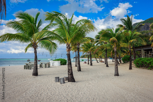 Palm Trees and Chairs on a Sandy Beach in Mauritius