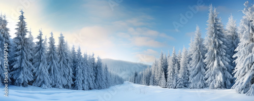 Winter landscape of trees covered with snow. Beautiful winter forest. © amazingfotommm