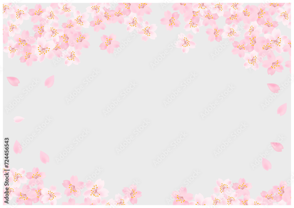 桜の花が美しい春の桜フレーム背景25灰色