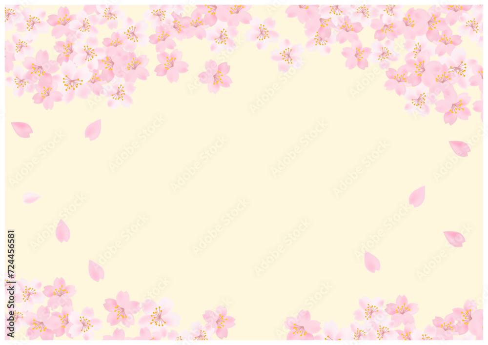 桜の花が美しい春の桜フレーム背景25黄色 桜の花が美しい春の桜フレーム背景25黄色