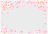 桜の花が美しい春の桜フレーム背景25灰色